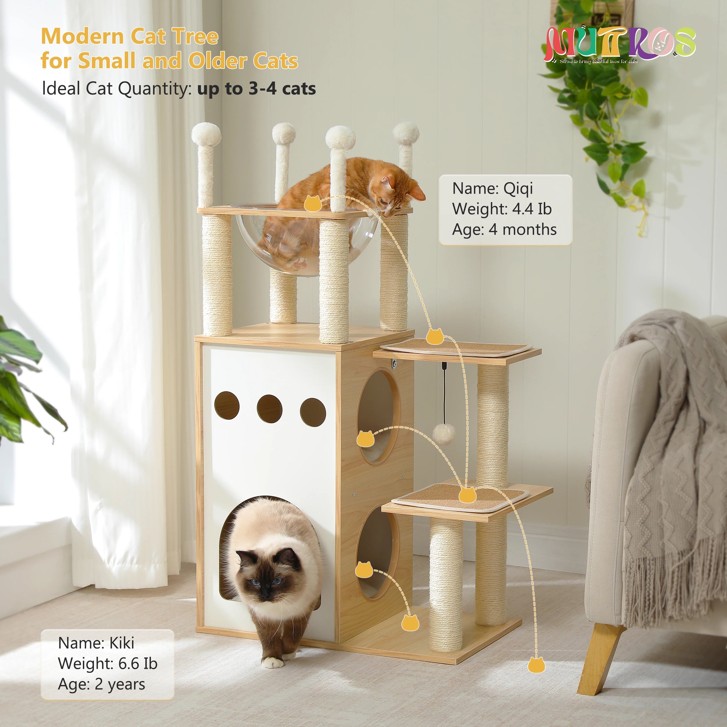 Modern Cat Tree Wooden Cat Tower with 2-Floor Condo Cat Furniture with Cat Scratching Posts Capsule Nest and Dangling Balls