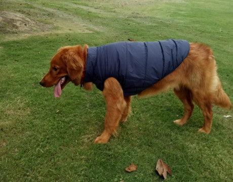 Cozycanine Waterproof Pet Jacket: Stylish Outdoor Attire For Your Furry Friend